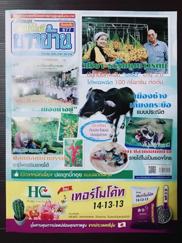 ภาพประกอบเว็บไซต์