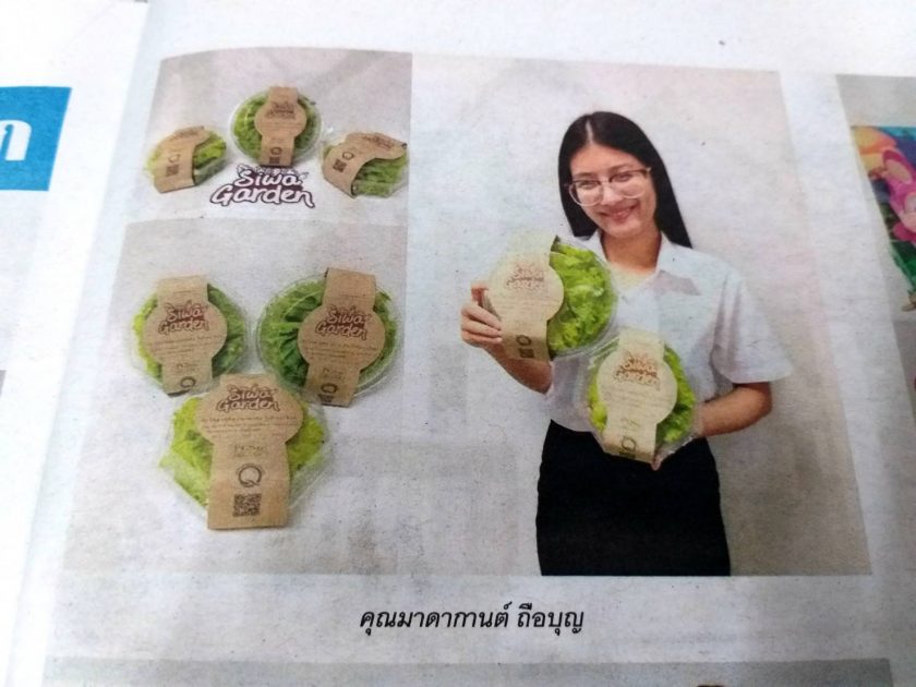 ภาพประกอบเว็บไซต์